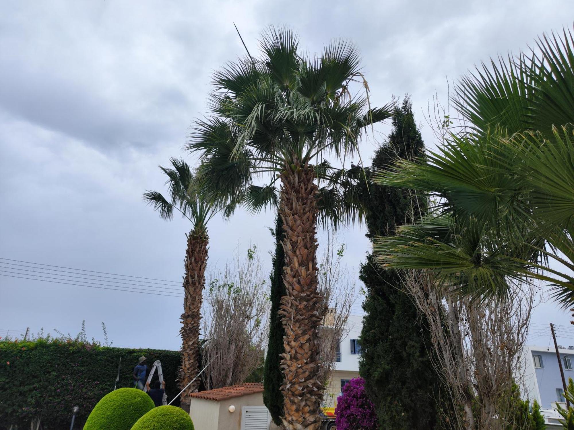 Sunset Green 01 Paphos Exterior photo